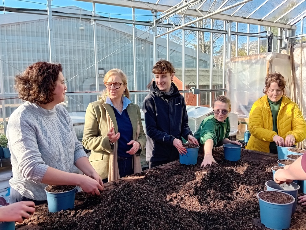 Group of people practicing horticulture in a greenhouse