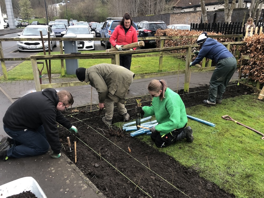 Group of students planting trees