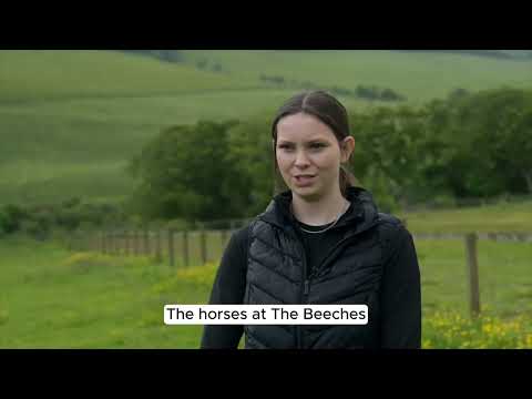 The Beeches - Amy Young